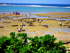 ビーチコーミング