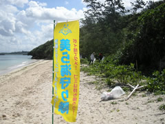 ビーチコーミング