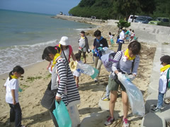 ビーチコーミング